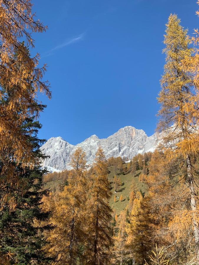 Aparthotel Das Hochkoenig Ramsau am Dachstein Bagian luar foto